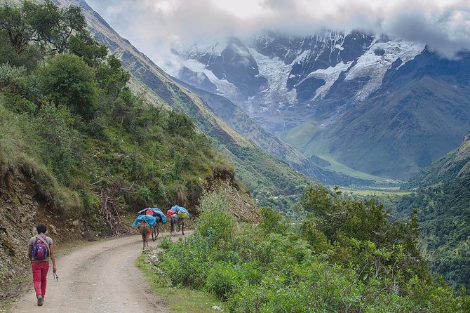 Humantay Lake Day Hike (Small Group or Private) - Camino Real to Soraypampa: The Climb Starts Quick