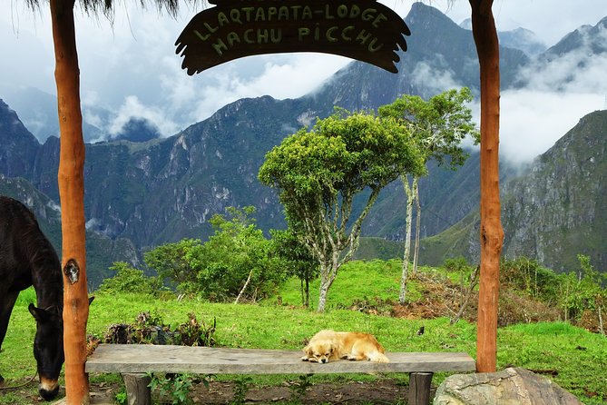 Inca Jungle Premium to Machu Picchu 4-Day and 3-Nights - Day 1: Cusco to Málaga Pass, then down by bike and river