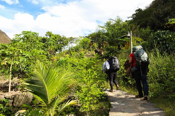 Inca Jungle Premium to Machu Picchu 4-Day and 3-Nights - Why this route feels different from a straight Machu Picchu day trip