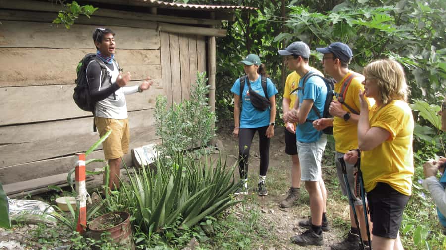 Inca Jungle Trail to Machu Picchu in 4 Days - Santa Maria lodge night: humid forest time and realistic expectations