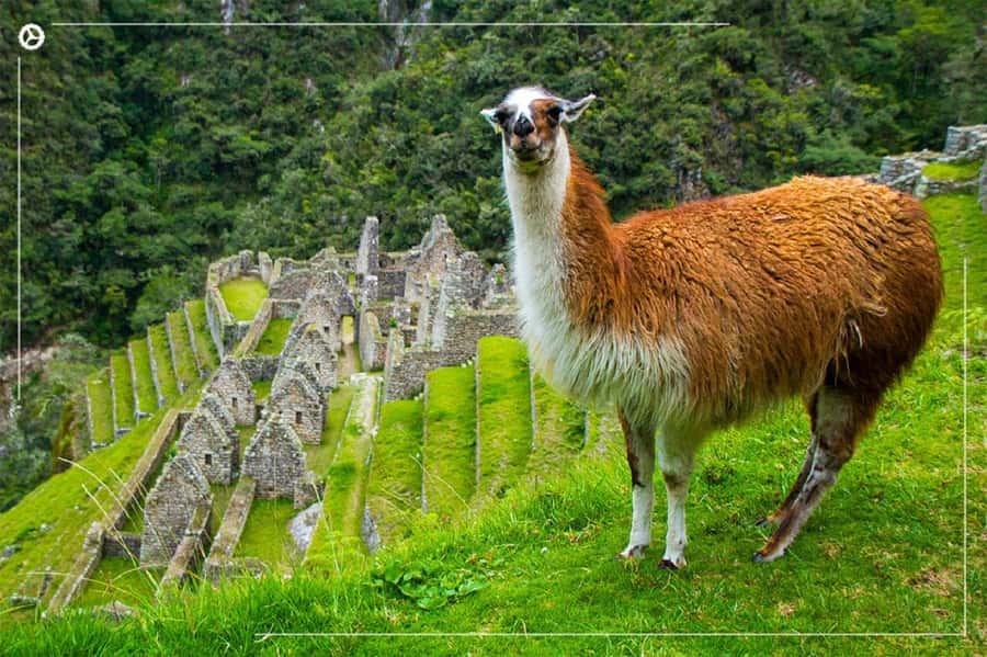 Inca Trail 2 days to Machu Picchu - Why this 2-day Inca Trail to Machu Picchu works