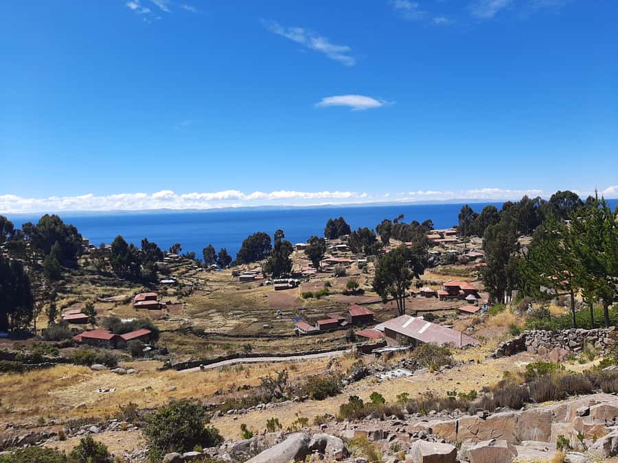 LAKE TITICACA 2-DAY EXCURSION: UROS AMANTANI AND TAQUILE + 3 MEALS - Uros Floating Islands, Totora Life, and an Optional Raft