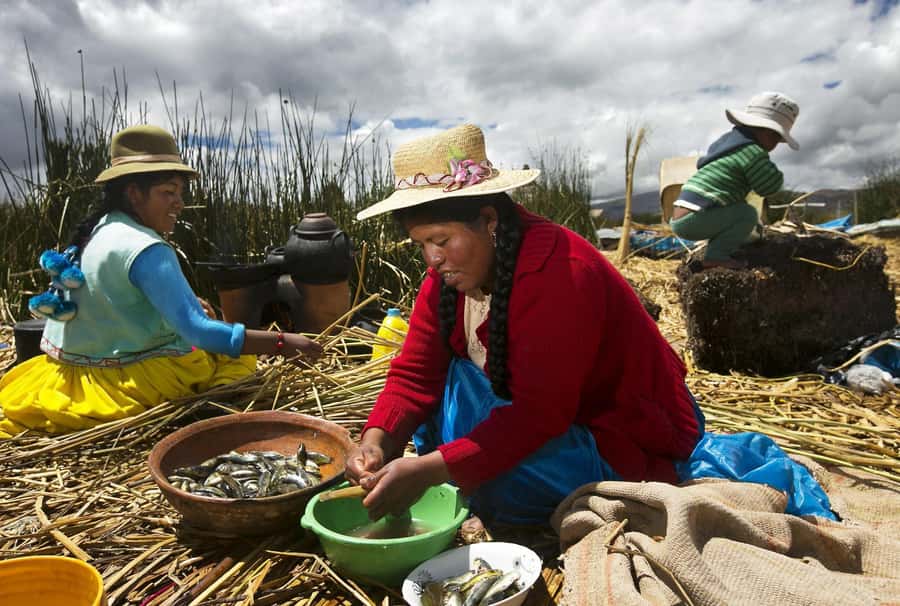 Lake Titicaca, Uros and Taquile Full-Day Tour - Lake Titicaca cruise from Puno, and why it matters