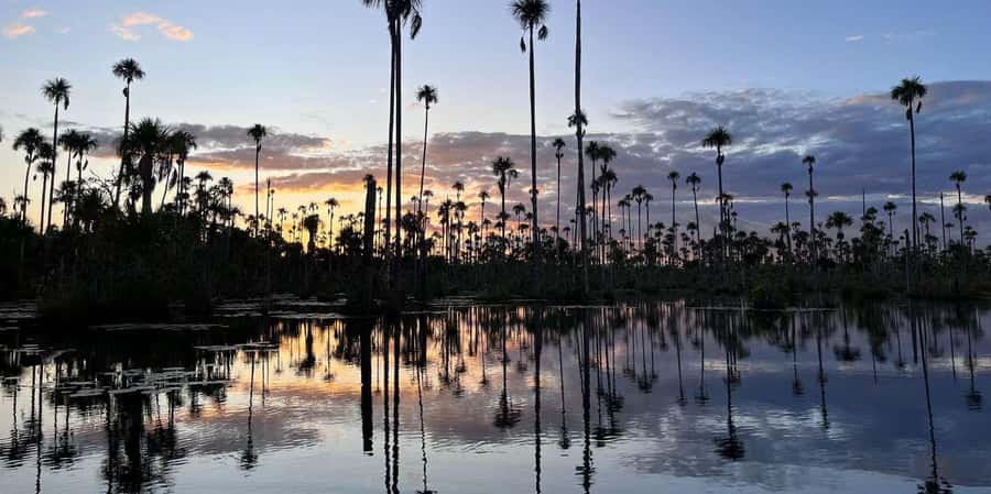 Lake Yacumama - Sunrise or Sunset - Key things to know before you go