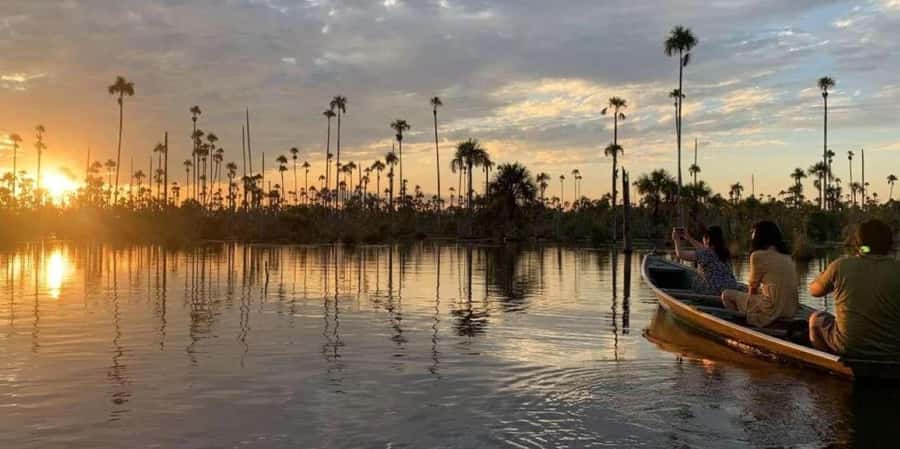 Lake Yacumama - Sunrise or Sunset - Wildlife, including caimans and bird moments
