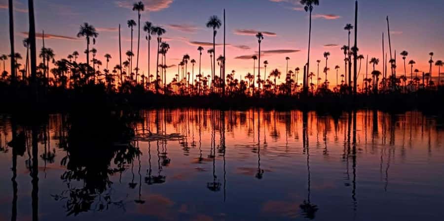 Lake Yacumama - Sunrise or Sunset - Who this Lake Yacumama tour fits best