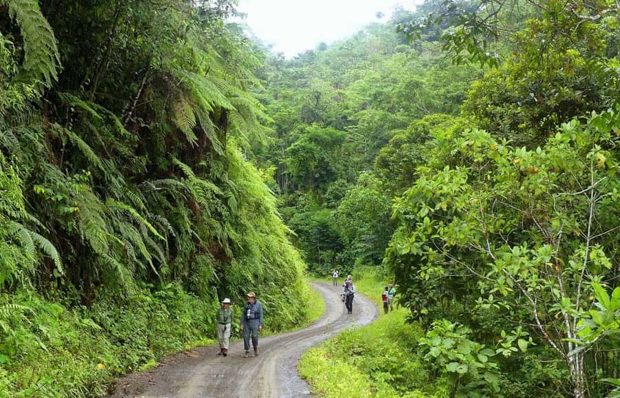 Living Nature from Cusco: 3 Days Manu Jungle all inclusive - Day 1: Cusco to Cloud Forest, Lupaca Tombs, and Paucartambo Culture