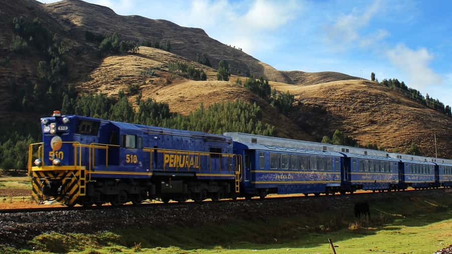 Machu Picchu: 1-day tour by Vistadome Panoramic train - The traditional village break in Aguas Calientes: lunch and local browsing