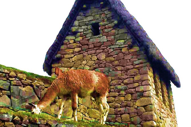 Machu Picchu 1 Day Tour from Cusco by Train - Inside Machu Picchu: what the guide time is actually for