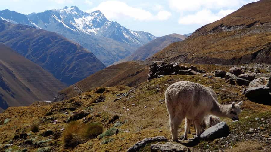 Machu Picchu 2 Days / 1 Night (By Bus) - Key things to know before you go