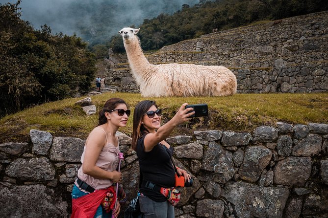 Machu Picchu Day Trip from Cusco - Choosing your train to Aguas Calientes: Expedition vs Vistadome vs Executive Class