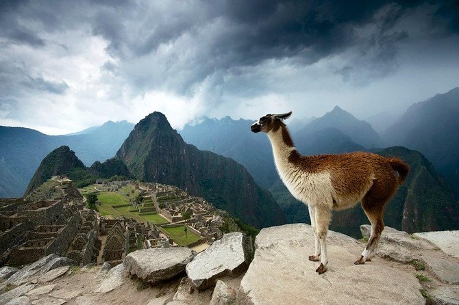 Machu Picchu Entrance Ticket - What to Expect at Stop 1: Machu Picchu Ruins and the One-Way Flow