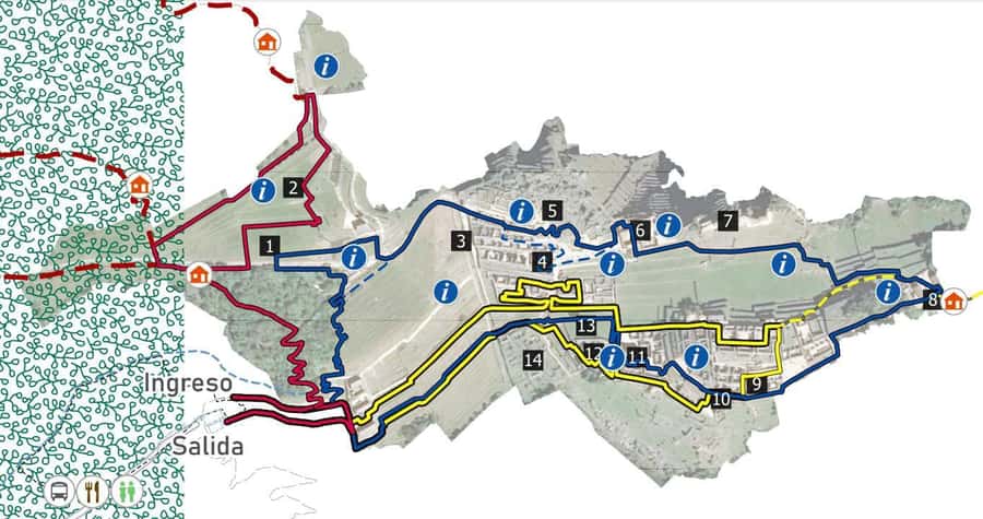 Machu Picchu Entry Ticket and Bus from Aguas Calientes - A one-day plan that starts in Aguas Calientes