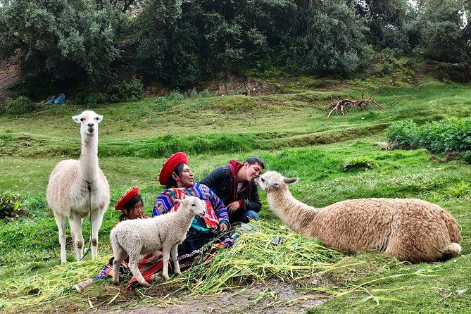 Machu Picchu Full Day from Cusco - Price: $319.85 can be fair, or it can feel steep