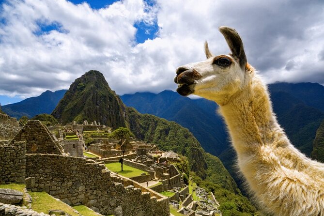 Machu Picchu Full Day with lunch by Aludi Travel - Stop 2: Aguas Calientes time at the base of the ruins