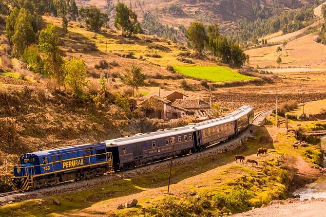 Machu Picchu in 1 Day from Cusco - The train ride to Aguas Calientes: what to expect and how to use it