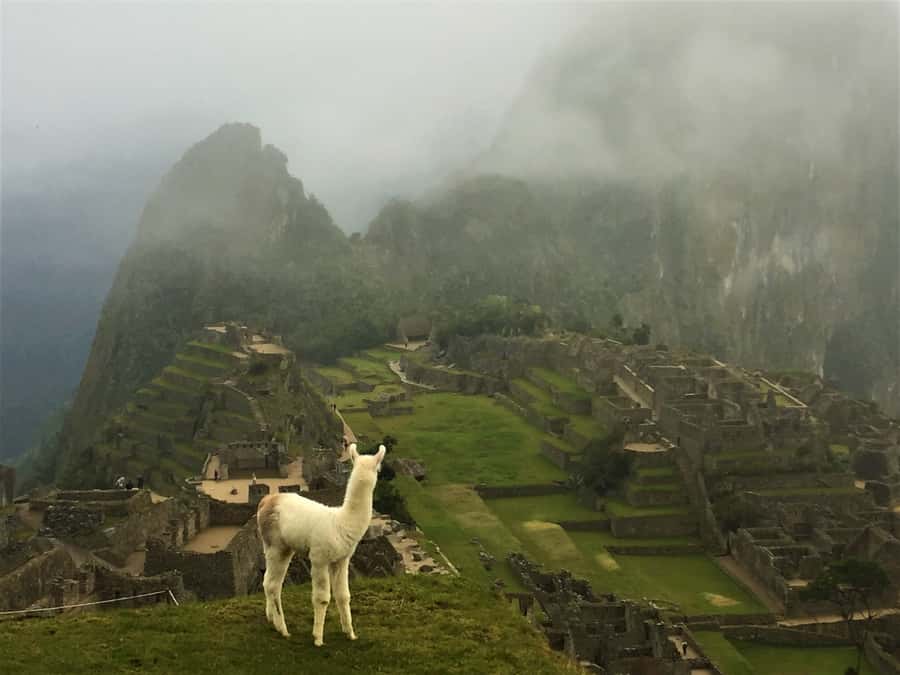 Machu Picchu: Private Tour Guide Service - Getting Back Down: The Post-Tour Plan That Saves Stress