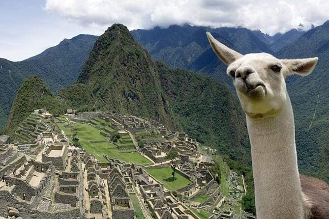 Machu Picchu Small Group Day Tour from Cusco - After the ruins: bus down, train back, and hotel return
