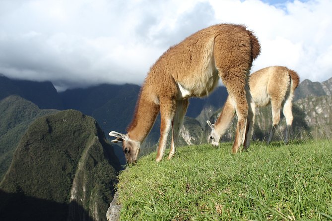 Machu Picchu Tour From Cusco Full Day - Price and value: does $425 include the hard parts?