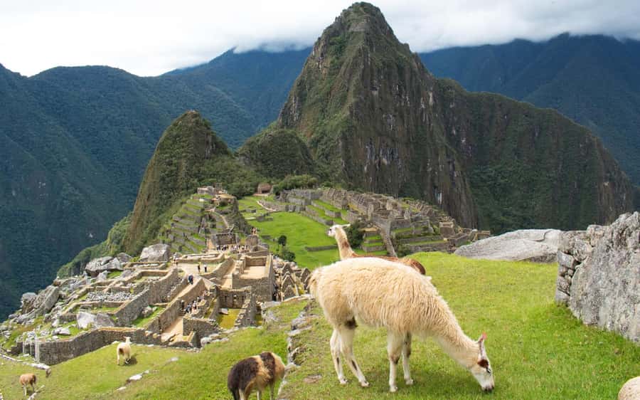 Machupicchu tour by tourist train in 2 days - The return to Cusco: buses, lunch gap, and being ready for 8:30 p.m.