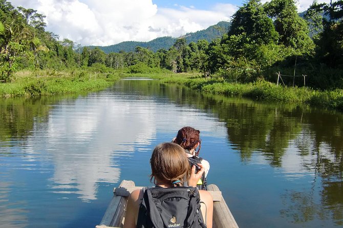 Manu Adventure (4 Days) - Day 3: Jungle trails with a day pack, caiman-eye night searching, and medicinal plants