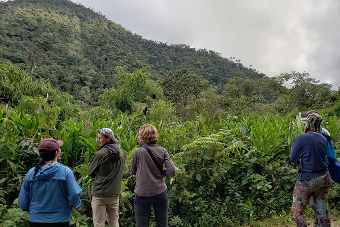 Manu National Park Tour 4days/3night - The bigger Peru combo: Tambopata, Machu Picchu, and Inca Trail