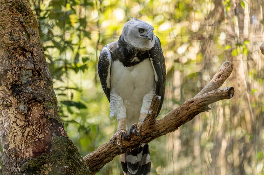 Manu National Park Tours from Cusco 5 Days - Key points to know before you go