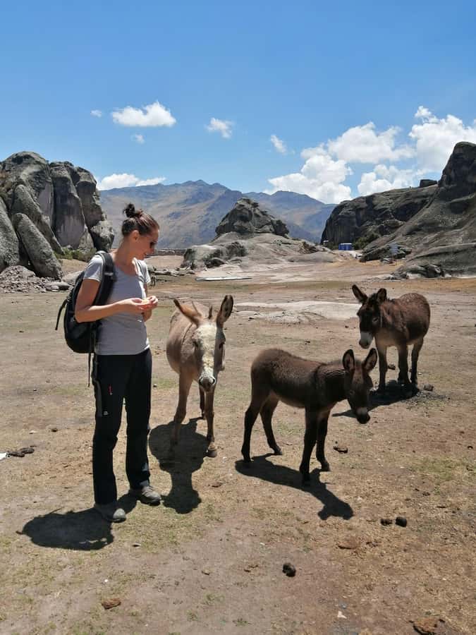 Marcahuasi Experience in Lima - Entering Marcahuasi: rock figures, peace, and a ceremonial site