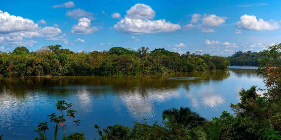 Monkey Island + Lake Sandoval 2D/1N - Monkey Island in the Madre de Dios River: what you are really paying for