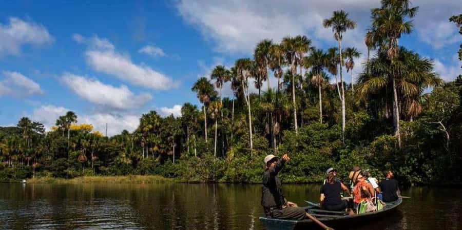 Monkey Island + Lake Sandoval 2D/1N - Pool time and a realistic pace for a 2-day rainforest trip
