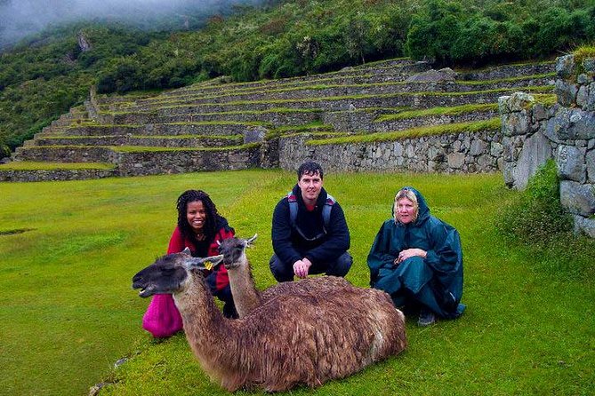 Mystical Journey: 2-Day Private Adventure to Machu Picchu - What you get for the price, and why it can still feel like good value