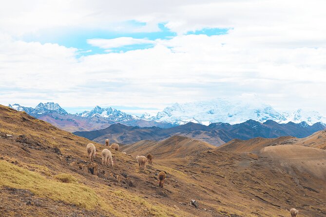 Palccoyo Rainbow Mountain Full Day Tour from Cusco - Stop 1 Palccoyo Rainbow Mountain: three peaks, stone forest, and a calmer climb