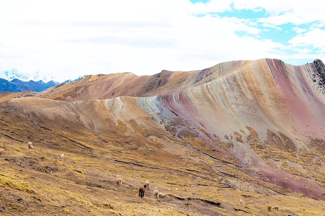 Palccoyo Rainbow Mountain Full Day Tour from Cusco - Stop 3 Nevado Auzangate: 6,400 masl views without a long second hike