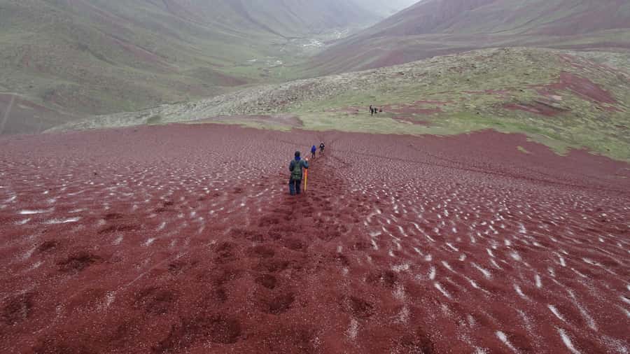 Peru: Rainbow Mountain and Red Valley View Point Tour - Guides and pace: the difference between a good day and a rushed one