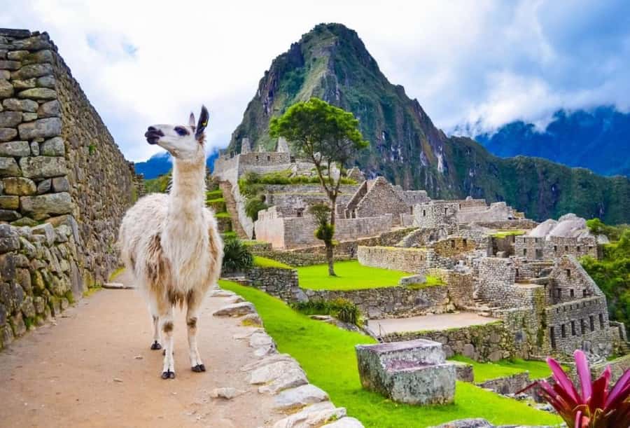 Private Guide in Machu Picchu for 3 Hours - Packing list and rules that affect your comfort