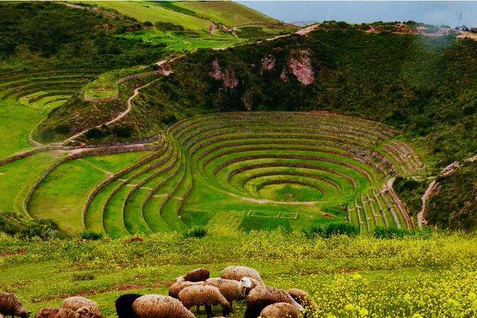 Private Tour Sacred Valley, Chinchero, Maras Moray, Ollantaytambo - Who should book this private Sacred Valley route?