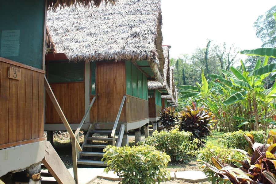 Puerto Maldonado: 2-Day Peruvian Tambopata Jungle Trip - Price and logistics: what $280 gets you, and why it can feel pricey