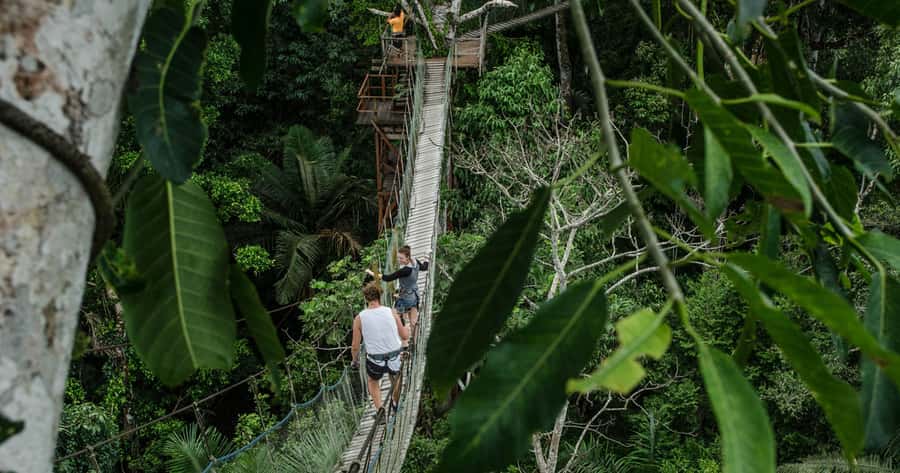 Puerto Maldonado: 2-Day Peruvian Tambopata Jungle Trip - Puerto Maldonado, Tambopata, and why two days actually works