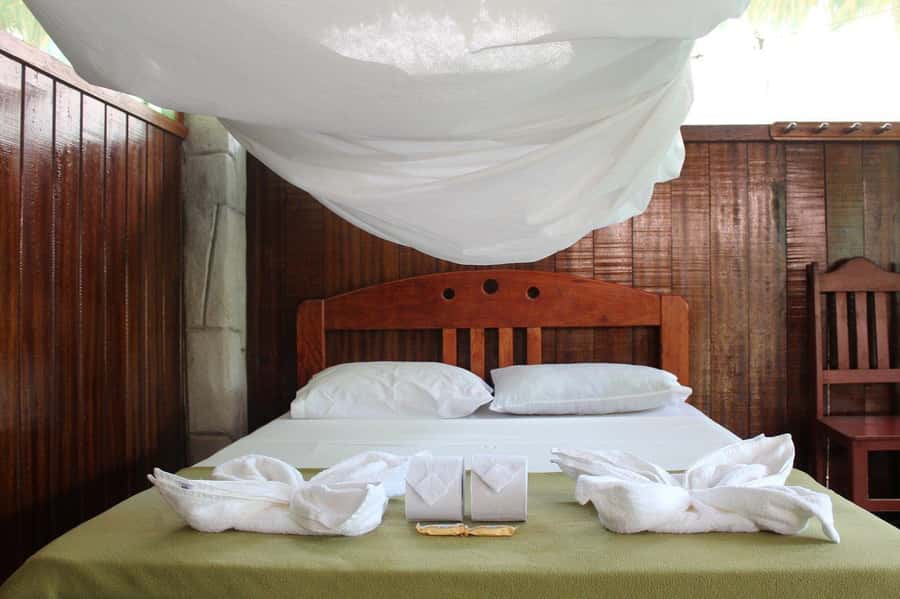 Puerto Maldonado: 2-Day Peruvian Tambopata Jungle Trip - Lodge night: what you can rely on (and what you should not expect)