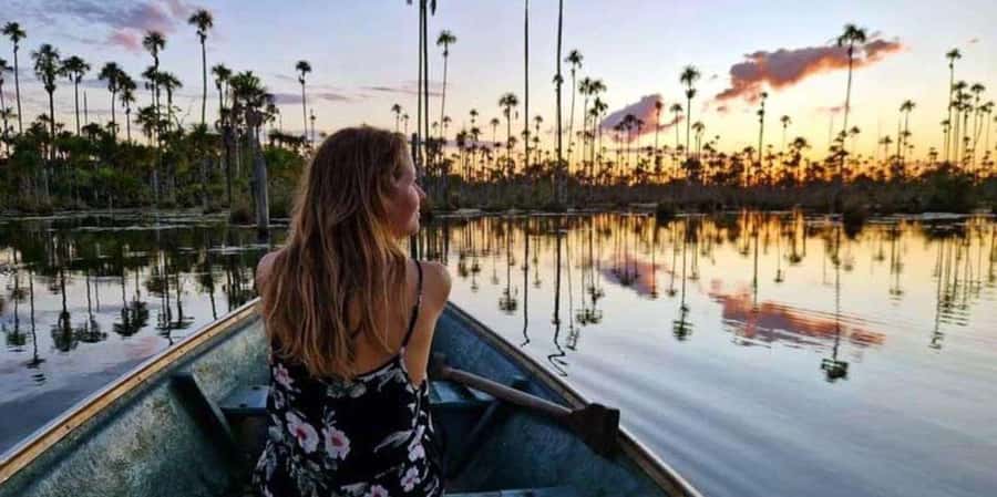 Puerto Maldonado: 3-hour sunset boat ride - Tambopata National Reserve at Golden Hour