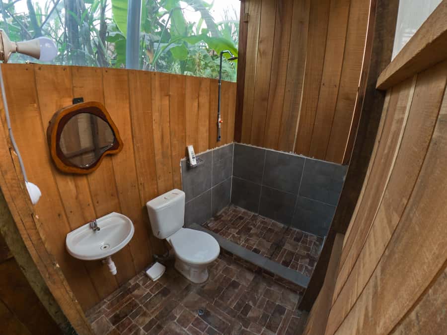 Puerto Maldonado: 4-Day Tambopata Rainforest Tour - Wildlife highlights to expect: caimans, giant otters, macaws, and sloths