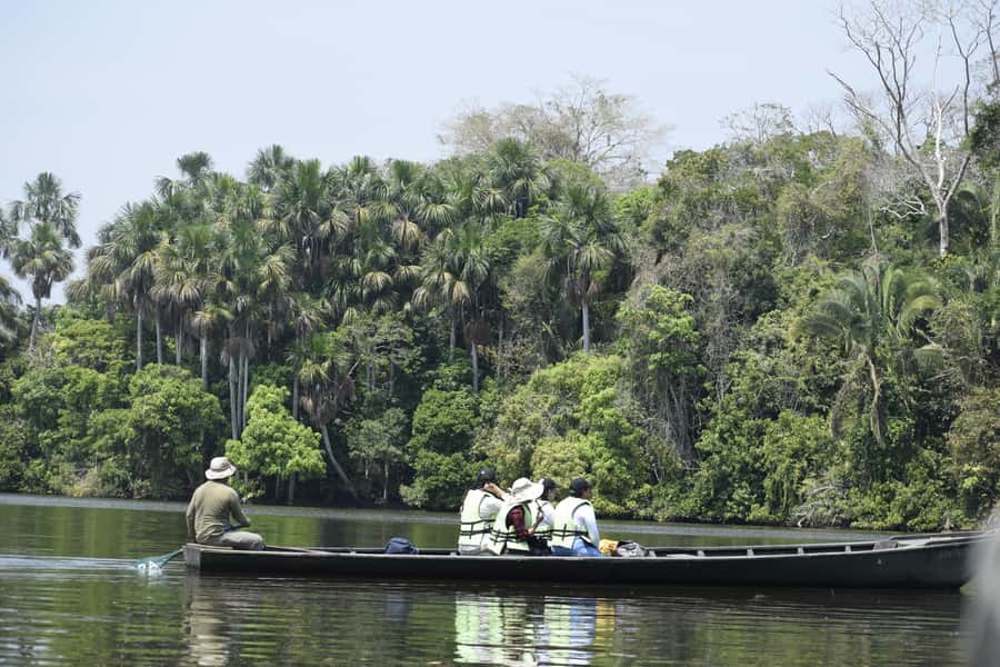 Puerto Maldonado: 4-Day Tambopata Rainforest Tour - Tambopata rainforest, Puerto Maldonado: what this 4-day tour is really like
