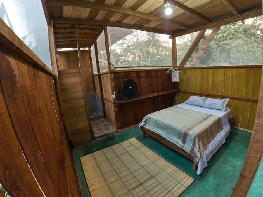 Puerto Maldonado: 4-Day Tambopata Rainforest Tour - What you’re paying for: price and value at $424 per person