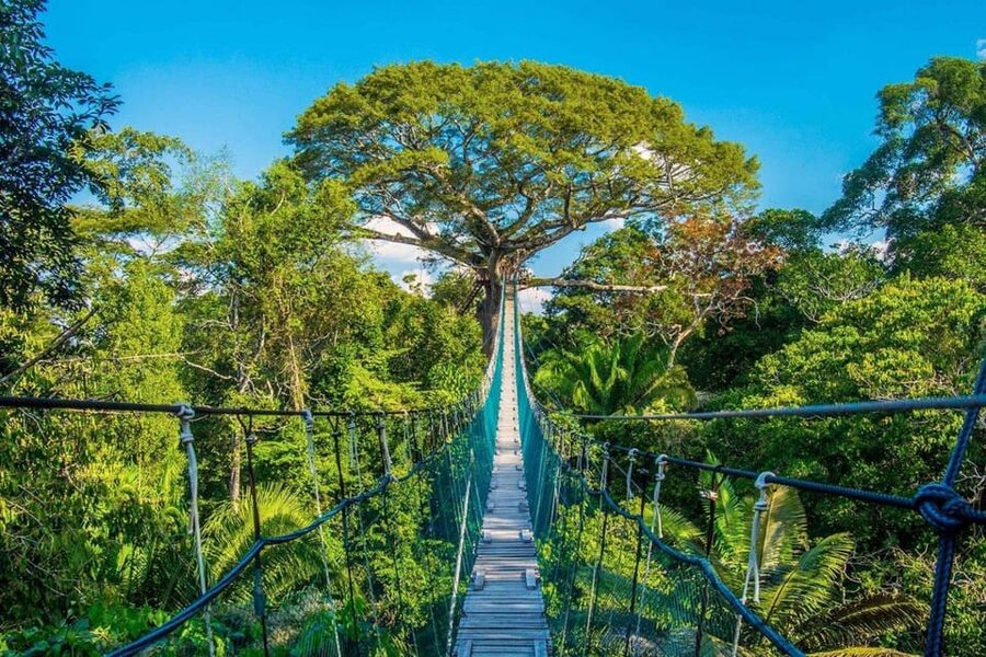 Puerto Maldonado: Jungle Adventure |Zipline + Canopy + Kayak - Who this jungle adventure suits best