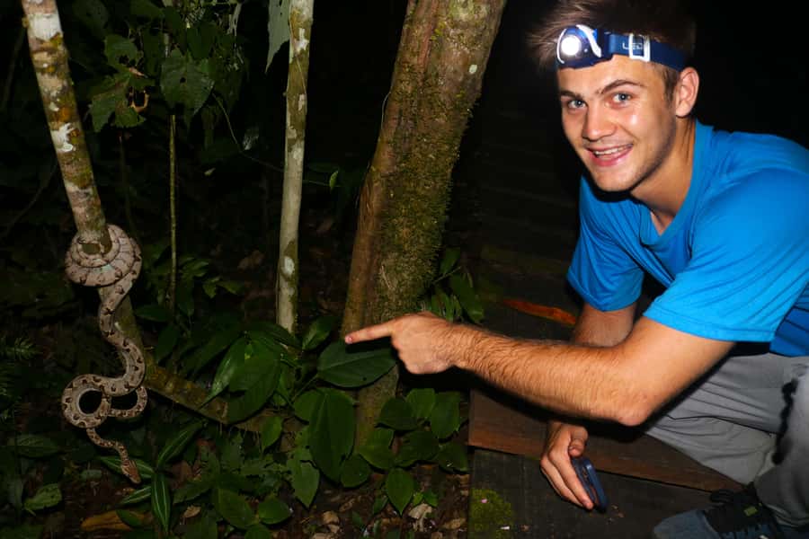 Puerto Maldonado: Jungle Night Tour with Sloths & Tarantulas - Key things I’d focus on before you go