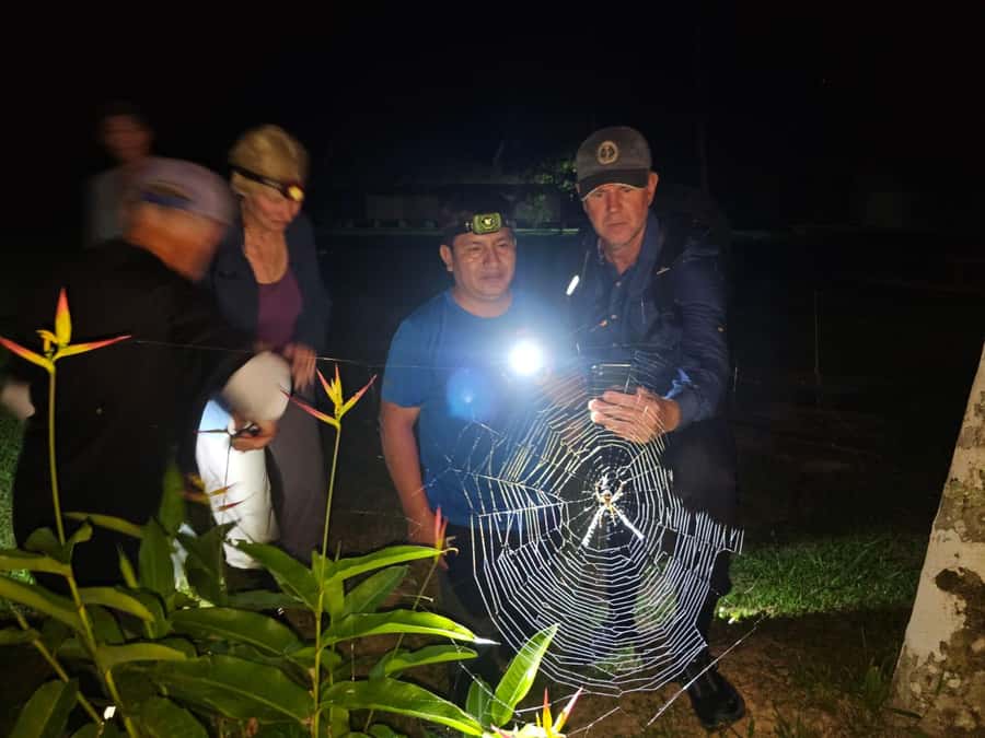 Puerto Maldonado: Jungle Night Tour with Sloths & Tarantulas - What you might spot: tarantulas, sloths, and the real “night mix”