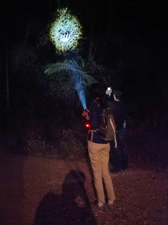 Puerto Maldonado: Jungle Night Tour with Sloths & Tarantulas - Gear and safety that actually affect your experience