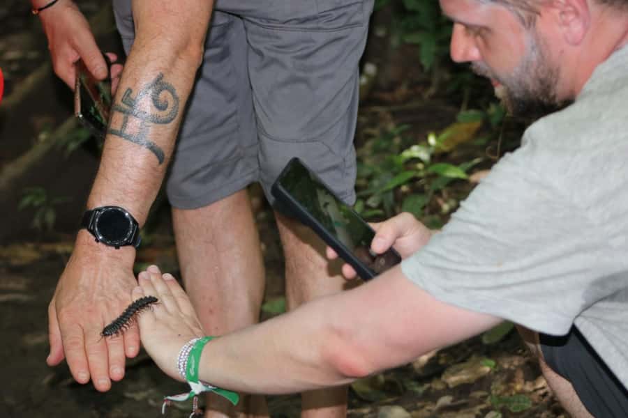 Puerto Maldonado: Jungle Night Tour with Sloths & Tarantulas - Price and value: is $45 fair for a 2-hour night hunt?