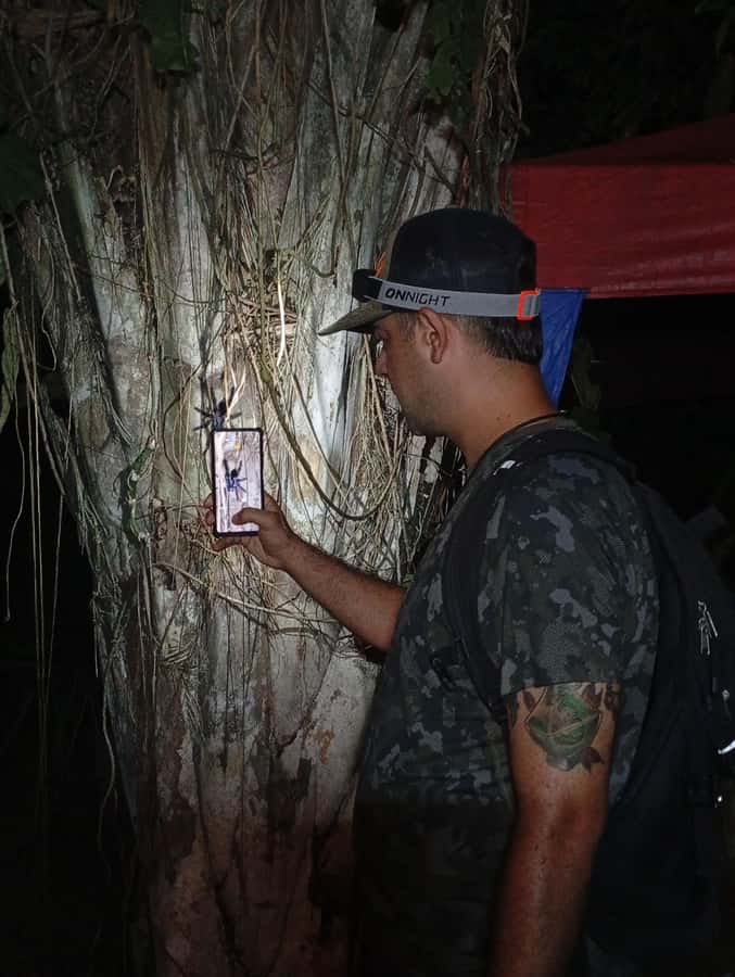 Puerto Maldonado: Jungle Night Tour with Sloths & Tarantulas - Your 2-hour plan, stop by stop