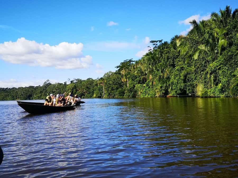 Puerto Maldonado: Lago Sandoval Day Trip with Lunch - Key things that make Lago Sandoval special